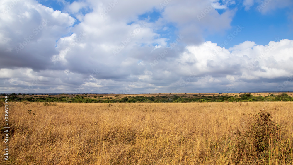 Nairobi national park