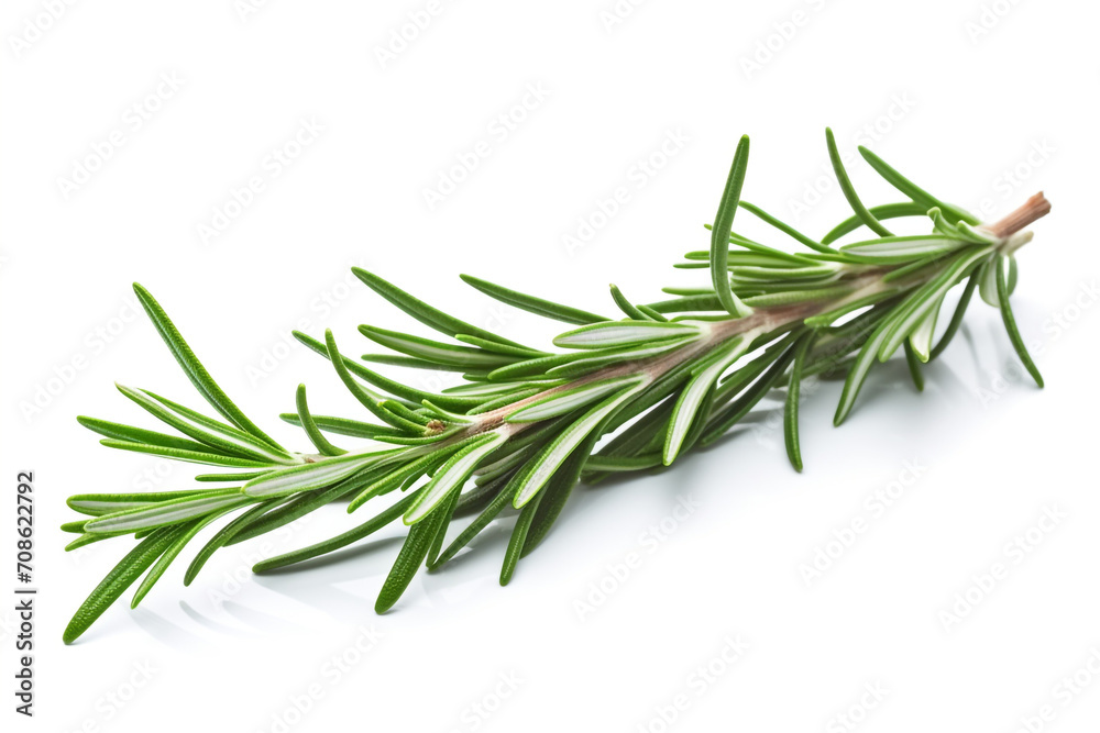 Rosemary isolated on white background created with Generative Ai