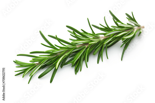 Rosemary isolated on white background created with Generative Ai