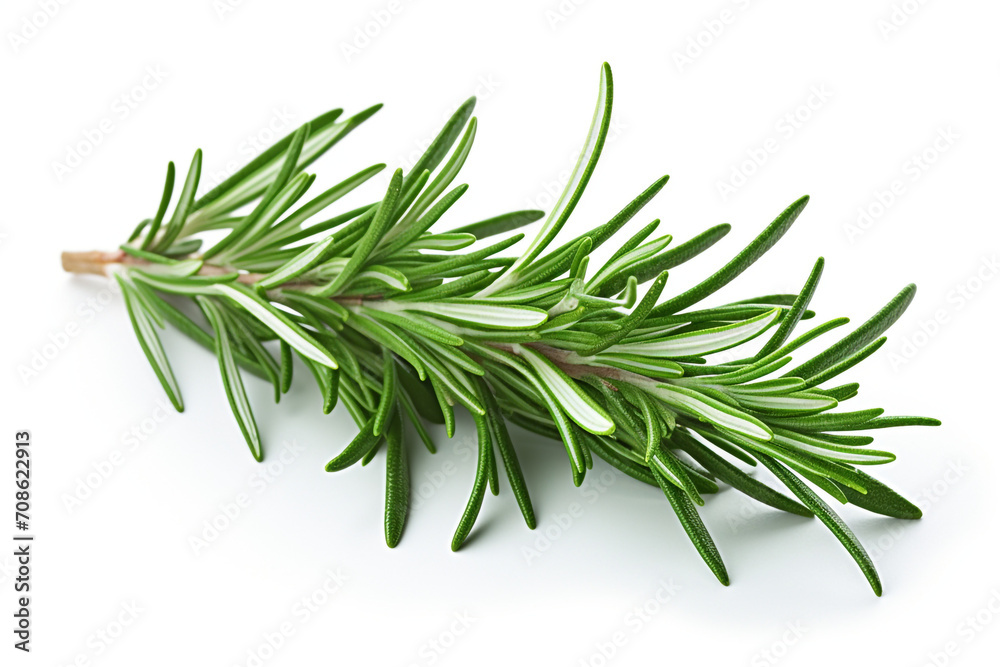 Fototapeta premium Rosemary isolated on white background created with Generative Ai