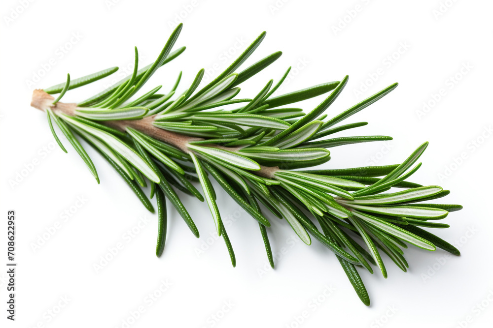 Fototapeta premium Rosemary isolated on white background created with Generative Ai