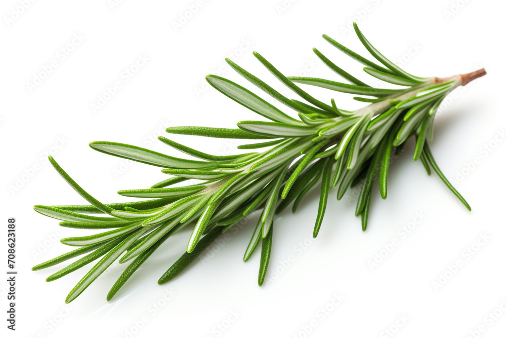 Rosemary isolated on white background created with Generative Ai Rosemary isolated on white background created with Generative Ai