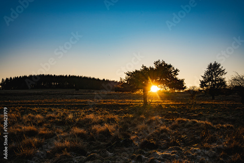 Baum, Rhön, Landschaft, Sonne, Sonnenuntergang photo