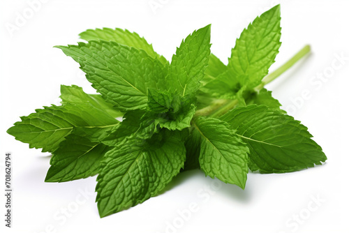 Spearmint isolated on white background created with Generative Ai photo