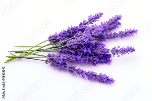 Lavender isolated on white background created with Generative Ai