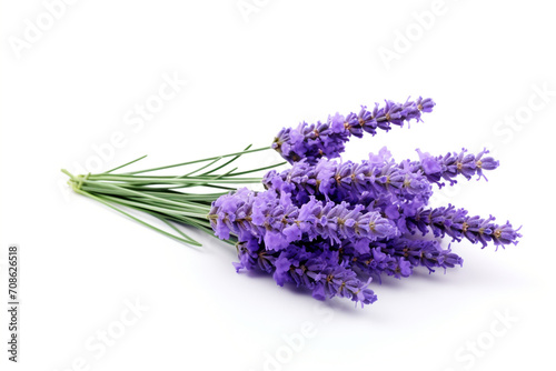 Lavender isolated on white background created with Generative Ai