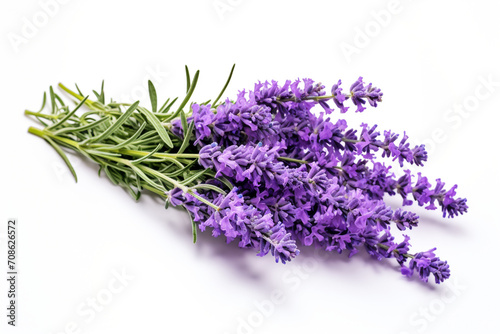 Lavender isolated on white background created with Generative Ai