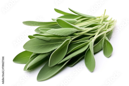 Sage isolated on white background created with Generative Ai