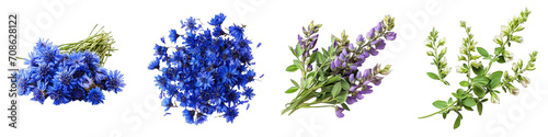 Baptisia Flower Pile Of Heap Of Piled Up Together  Hyperrealistic Highly Detailed Isolated On Transparent Background Png File