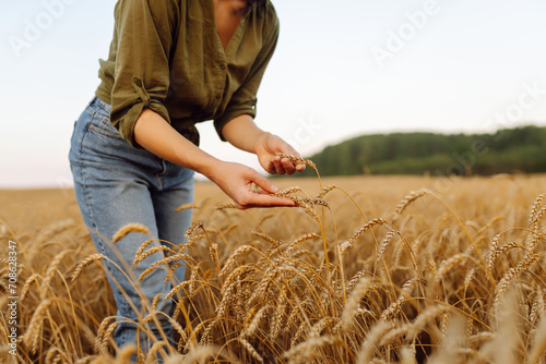 Agronomist inspecting wheat growing in the farm field.  Agriculture  business  harvest.