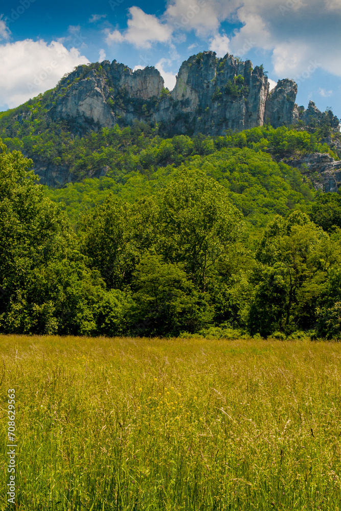 Seneca Rocks in Summer, West Virginia