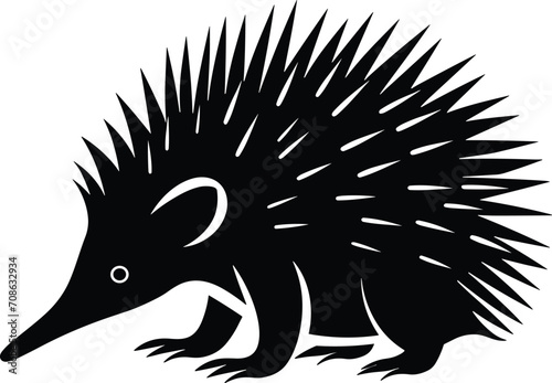 Echidna black and white silhouette vector illustration, isolated on white background