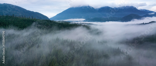 Fog covered trees and mountains landscape. Cloudy Sunrise.