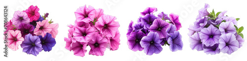 Petunia Flower Pile Of Heap Of Piled Up Together  Hyperrealistic Highly Detailed Isolated On Transparent Background Png File