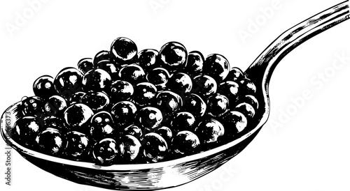 Sturgeon caviar in a spoon, macro view. Sketch style, vector illustration.