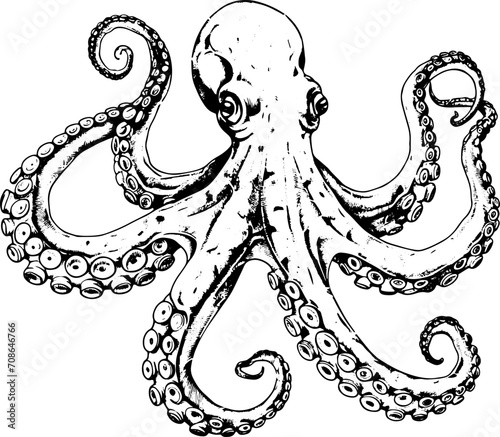 Octopus in hand drawn style. Vector illustration. 