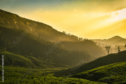 As the day comes to an end, soak in the mesmerizing view of the sun gracefully descending behind the rolling greenery
