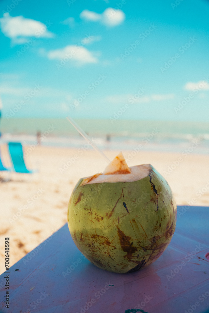 COCO NA BEIRA DA PRAIA (COCONUT ON THE BEACHSIDE)
COCO NA BEIRA DA PRAIA (COCONUT ON THE BEACHSIDE)