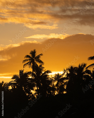Mingos Wedge. Arecibo, Puerto Rico