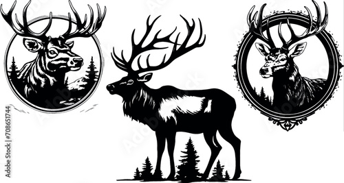 elk head silhouette collection set. deer, moose. animal, horn, jungle, hunting concept. great set collection clip art Silhouette , Black vector illustration on white background.