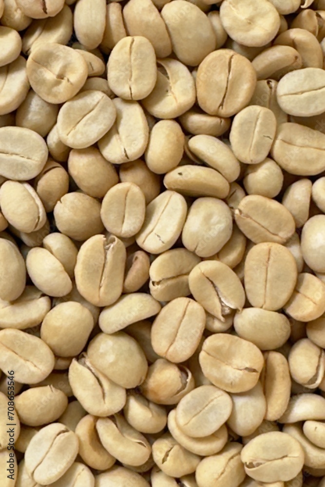 (Coffee substance) Thai Arabica and Robusta fully washed process for home roasting green coffee bean background (Coffee substance) Thai Arabica and Robusta fully washed process for home roasting green coffee bean background