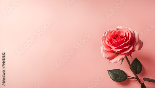 Rose them, love them, A love background with a red rose