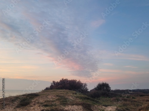 La Chefmalière, Saint Pierre d'Oléron, Ile d'Oléron, Charente Maritime, Nouvelle Aquitaine, France, Europe photo