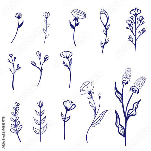 Botanical vector illustration. Graphic design elements for your logotype and identety. Vector  photo