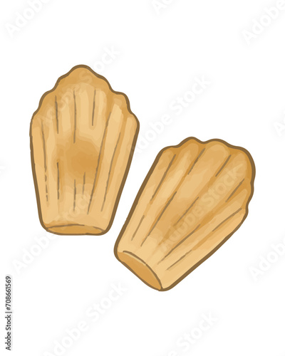 Classic french madeleine cookies. Cartoon homemade delicious biscuits, sponge shell-shaped cakes flat vector illustration