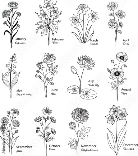 12 Birth month flowers including Carnation, Violet, Daffodil, Daisy, Lily of the Valley, Rose, Water Lily, Poppy, Aster, Cosmo, Chrysanthemum and Narcissus for printing, engraving, coloring, laser cut