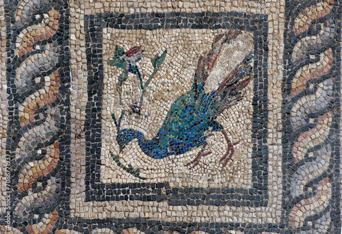 Roman Mosaics on the floor in the building near the Roman amphitheater of Alexandria