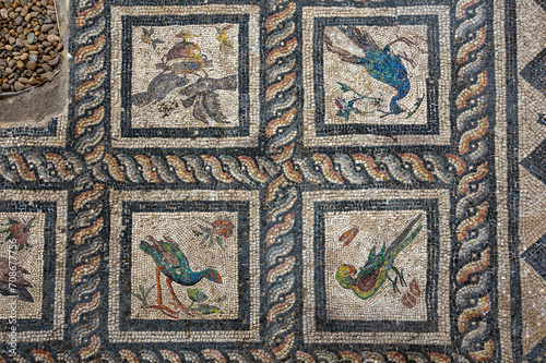 Slika na platnu Roman Mosaics on the floor in the building near the Roman amphitheater of Alexan