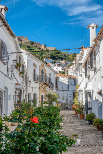 Whitewashed houses on a traditional street decorated with flower pots in the pretty village of Jimena de la Frontera, in the province of Cadiz, Andalusia, Spain