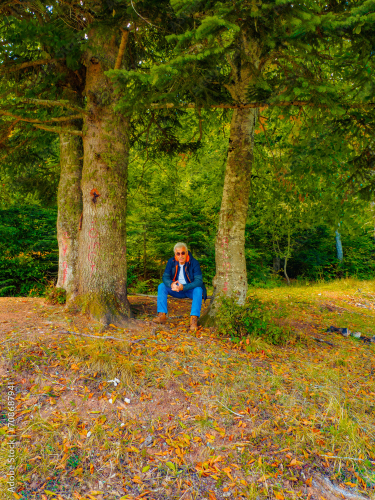 The man sitting between tree at Armutlu Plateau. The man sitting between tree at Armutlu Plateau.
