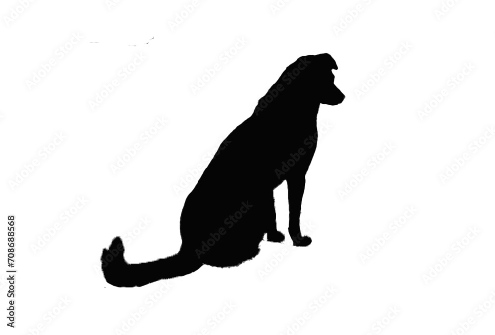 dog silhouette. PNG silhouette of dog isolated transparent