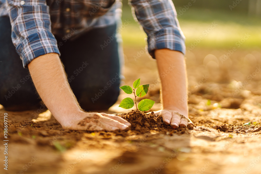 Fototapeta premium Close up - Hands of a young man taking care of a small plant in the garden. Farmer planting a sapling on her farm. Business or ecology concept.