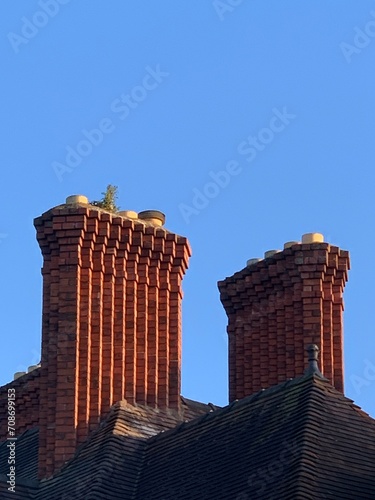 Chimneys on roof