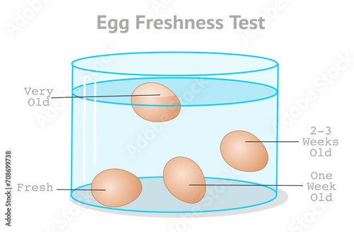 Egg freshness test. Fresh float experiment. Still good. Finding daily fresh. Weekly old and stale eggs flotation, sink. Glass cup, in transparency bowl. Vector illustration