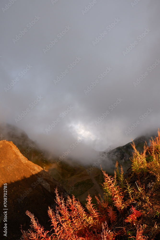 Fototapeta premium Mountains and mountain plants illuminated by a bright red sunset, evening landscape