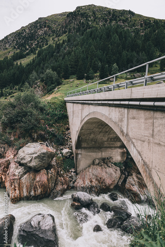 bridge over the river