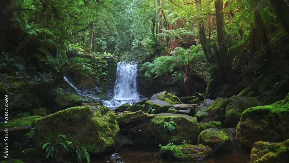 Jurassic forest nature of Tasmania Australia. Waterfall in jungle majestic view