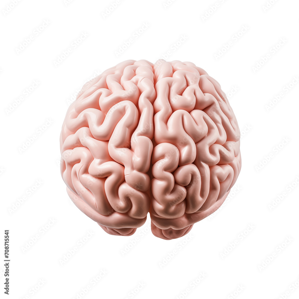 3d rendered illustration of human brain isolated on transparent and white background. Generative ai 3d rendered illustration of human brain isolated on transparent and white background. Generative ai
