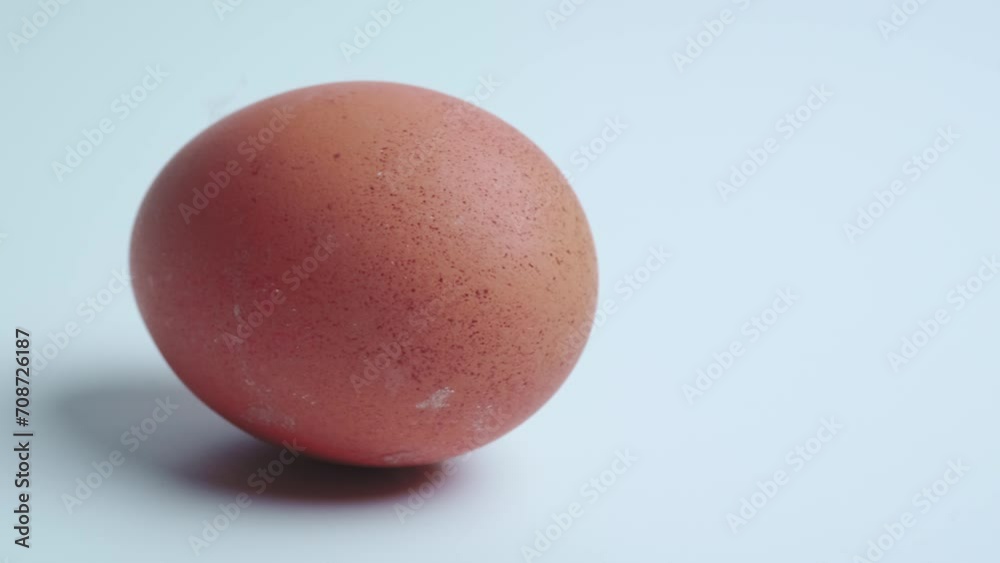 chicken egg on a white background close-up