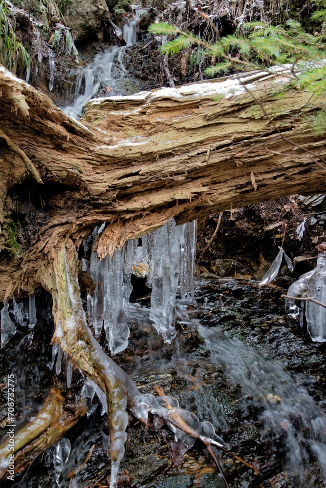 Obraz premium Eifel Hohes Venn Winter Eiszapfen Eis Fluss Saw Statte Belgien 