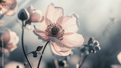  a close up of a pink flower on a stem with other flowers in the background and a blurry photo of the flower in the foreground with a blurry background.