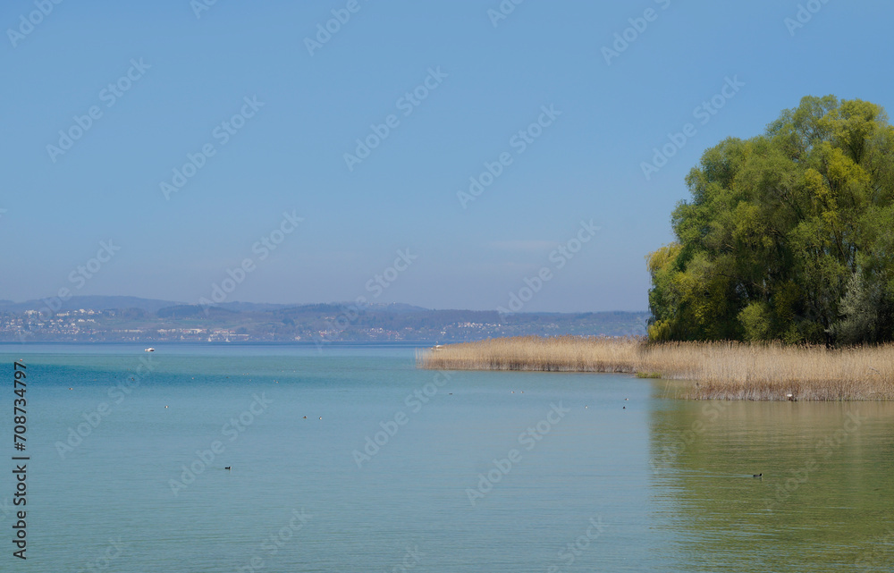 a picturesque view from flower island Mainau with lush green trees on lake Constance or lake Bodensee and the Alps in the background (Germany)
a picturesque view from flower island Mainau with lush green trees on lake Constance or lake Bodensee and the Alps in the background (Germany)