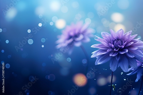 Purple dahlia flower on isolated magical bokeh background with copy space for text placement