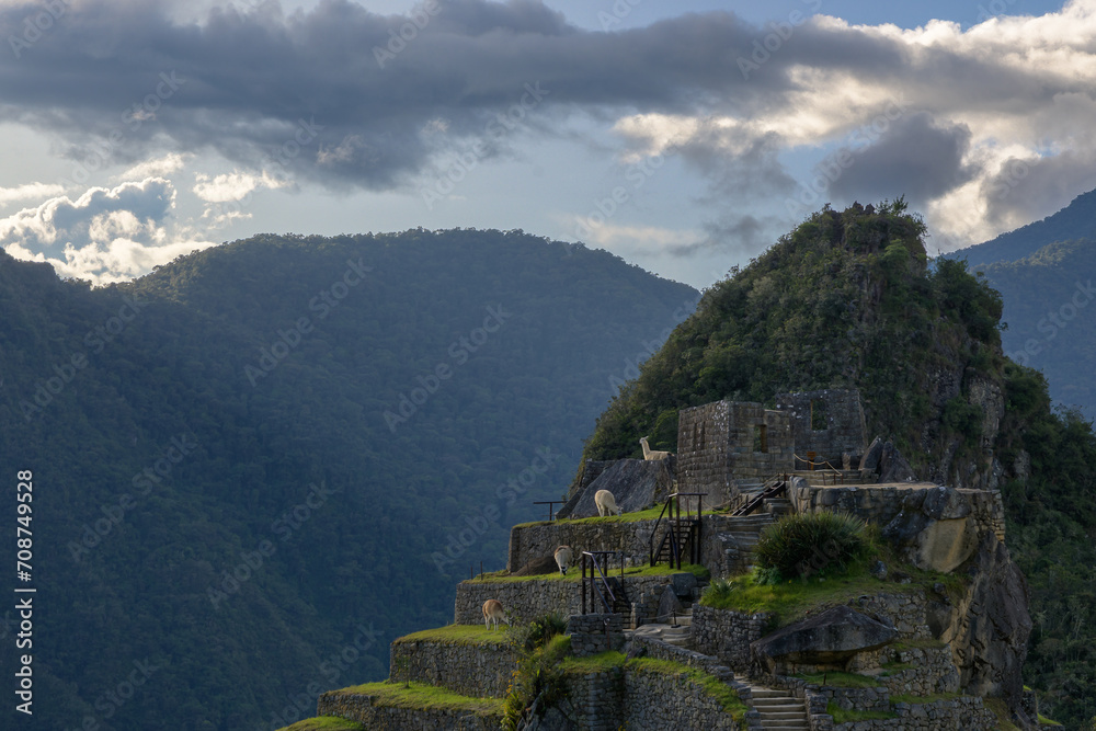 Obraz premium Ciudadela de Machu Picchu - Perú
