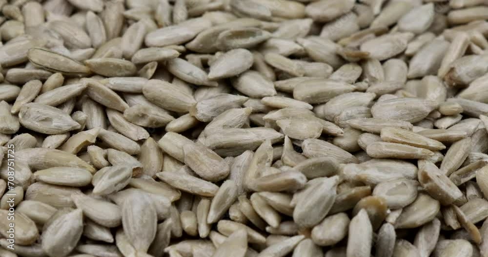 Micro video close up of sunflower seeds in rotating motion