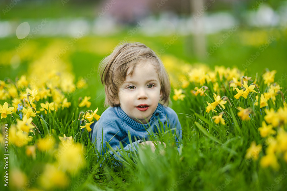 Cute toddler boy having fun between rows of beautiful yellow daffodils blossoming on spring day. Cute toddler boy having fun between rows of beautiful yellow daffodils blossoming on spring day.